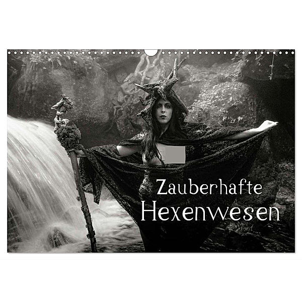 Zauberhafte Hexenwesen (Wandkalender 2024 DIN A3 quer), CALVENDO Monatskalender, Johann Frank