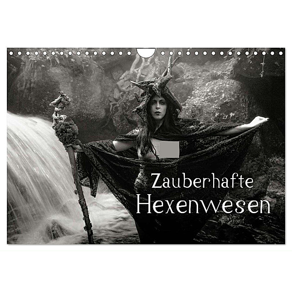 Zauberhafte Hexenwesen (Wandkalender 2024 DIN A4 quer), CALVENDO Monatskalender, Johann Frank