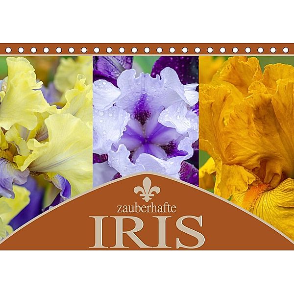 Zauberhafte Iris (Tischkalender 2020 DIN A5 quer), Steffen Gierok