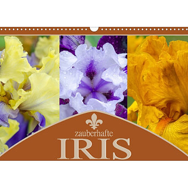 Zauberhafte Iris (Wandkalender 2022 DIN A3 quer), Steffen Gierok