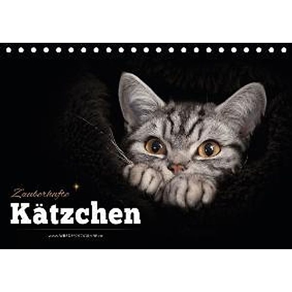 Zauberhafte Kätzchen (Tischkalender 2015 DIN A5 quer), Martina Wrede