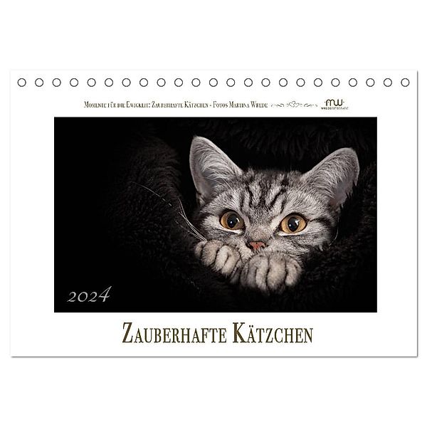 Zauberhafte Kätzchen (Tischkalender 2024 DIN A5 quer), CALVENDO Monatskalender, Martina Wrede