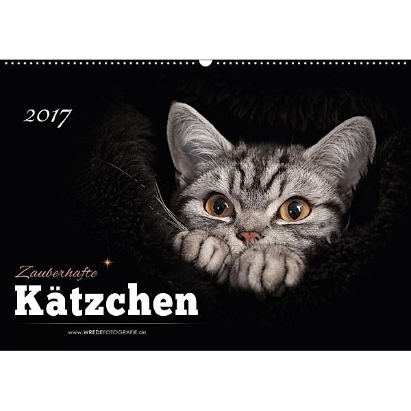 Zauberhafte Kätzchen (Wandkalender 2017 DIN A2 quer), Martina Wrede