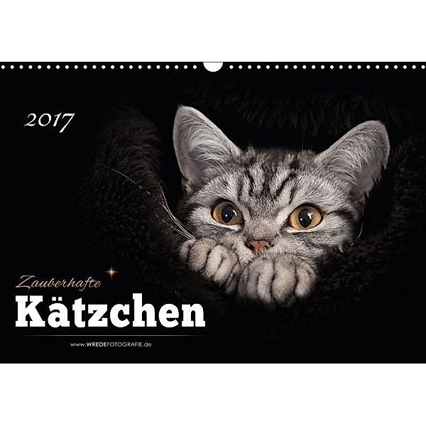 Zauberhafte Kätzchen (Wandkalender 2017 DIN A3 quer), Martina Wrede