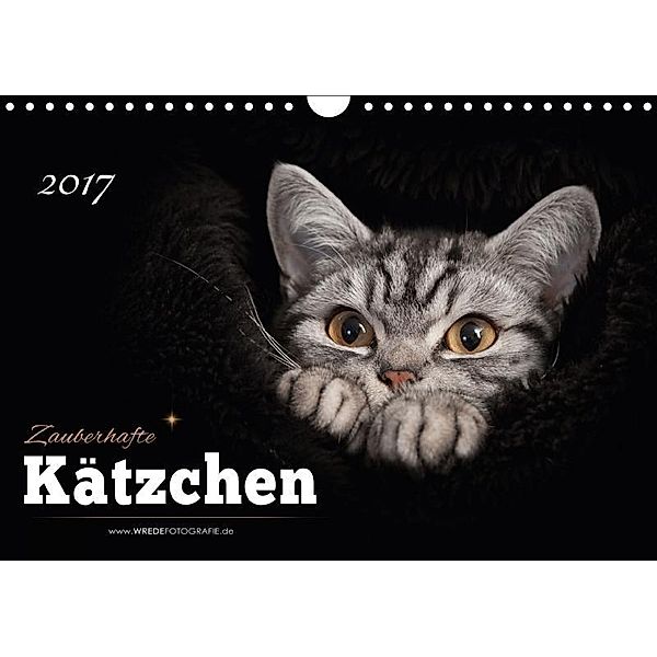 Zauberhafte Kätzchen (Wandkalender 2017 DIN A4 quer), Martina Wrede