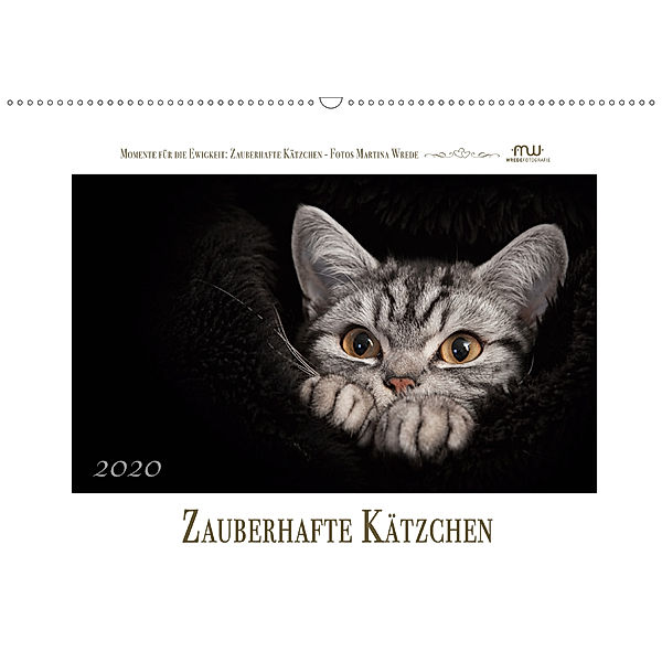 Zauberhafte Kätzchen (Wandkalender 2020 DIN A2 quer), Martina Wrede