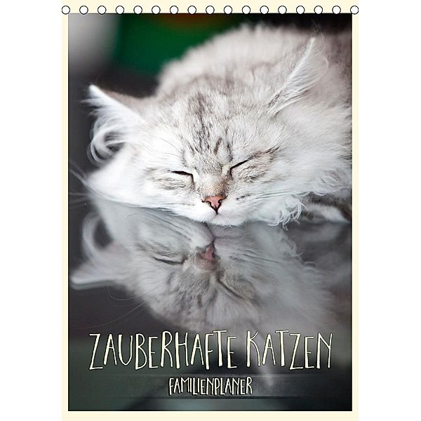 Zauberhafte Katzen - Familienplaner (Tischkalender 2021 DIN A5 hoch), Melanie Viola