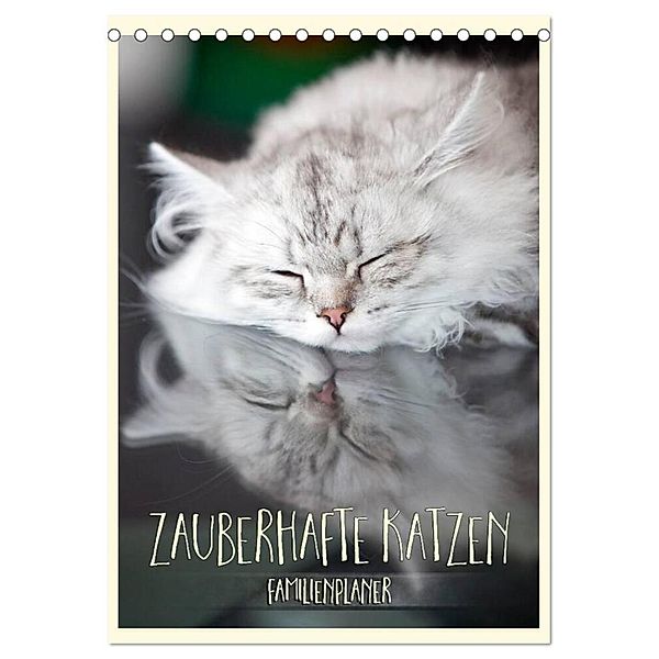 Zauberhafte Katzen - Familienplaner (Tischkalender 2024 DIN A5 hoch), CALVENDO Monatskalender, Melanie Viola