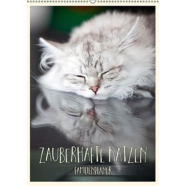 Zauberhafte Katzen - Familienplaner (Wandkalender 2017 DIN A2 hoch), Melanie Viola