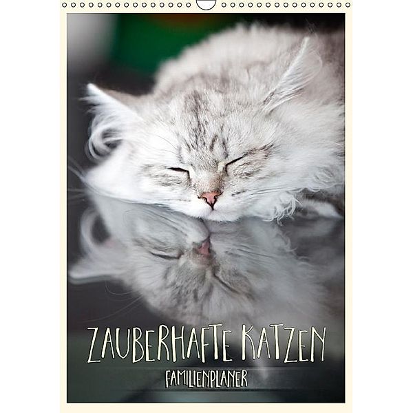 Zauberhafte Katzen - Familienplaner (Wandkalender 2017 DIN A3 hoch), Melanie Viola