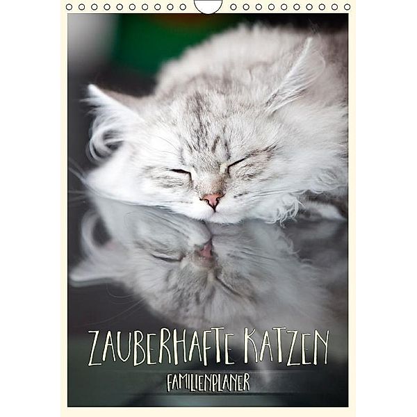 Zauberhafte Katzen - Familienplaner (Wandkalender 2017 DIN A4 hoch), Melanie Viola