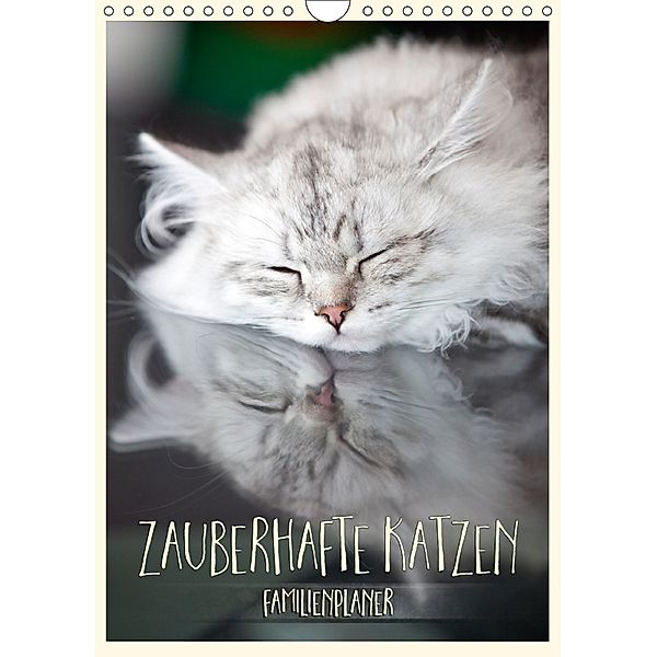 Zauberhafte Katzen - Familienplaner (Wandkalender 2018 DIN A4 hoch), Melanie Viola