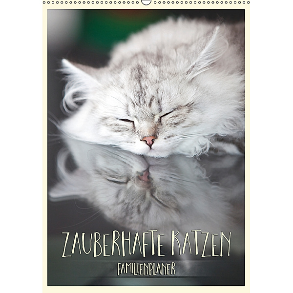Zauberhafte Katzen - Familienplaner (Wandkalender 2019 DIN A2 hoch), Melanie Viola