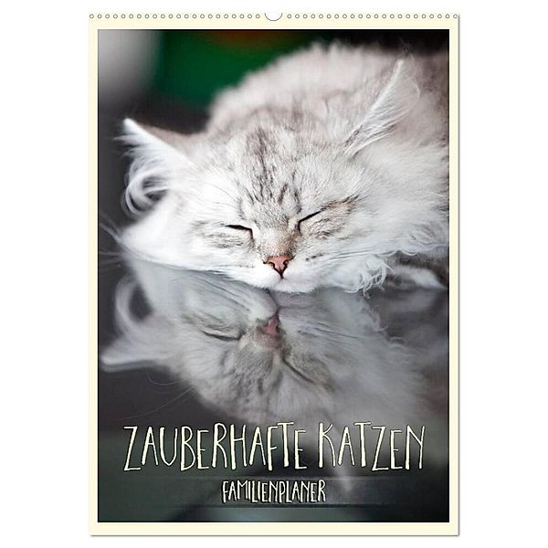 Zauberhafte Katzen - Familienplaner (Wandkalender 2024 DIN A2 hoch), CALVENDO Monatskalender, Melanie Viola