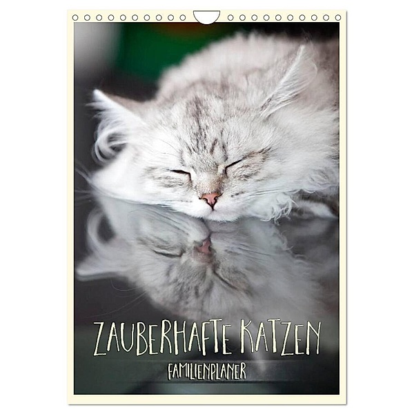 Zauberhafte Katzen - Familienplaner (Wandkalender 2024 DIN A4 hoch), CALVENDO Monatskalender, Melanie Viola