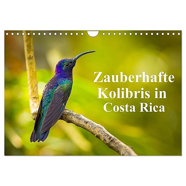 Zauberhafte Kolibris in Costa Rica (Wandkalender 2024 DIN A4 quer), CALVENDO Monatskalender, Winfried Rusch