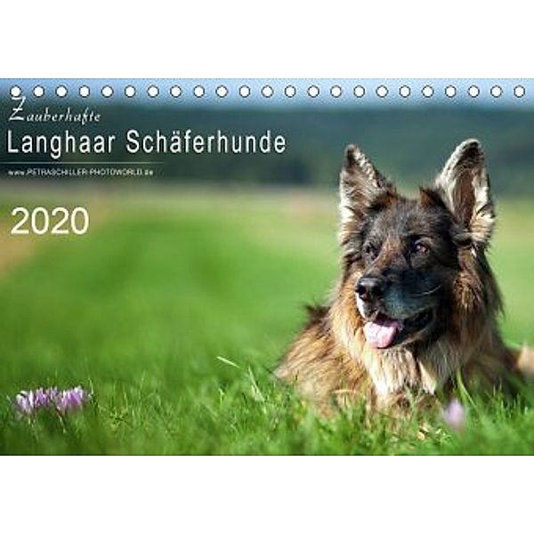 Zauberhafte Langhaar Schäferhunde (Tischkalender 2020 DIN A5 quer), Petra Schiller