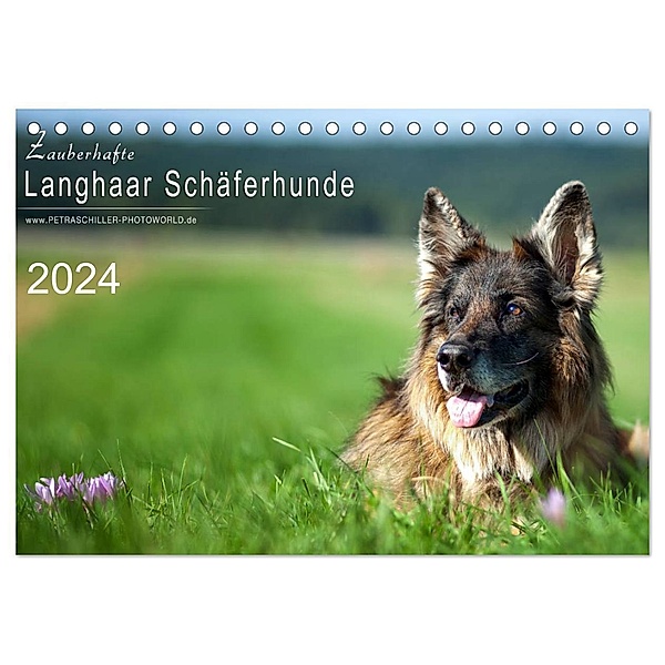 Zauberhafte Langhaar Schäferhunde (Tischkalender 2024 DIN A5 quer), CALVENDO Monatskalender, Petra Schiller