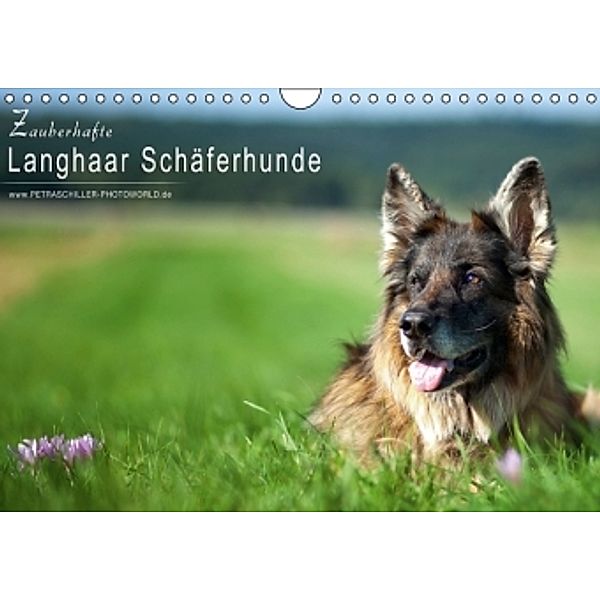 Zauberhafte Langhaar Schäferhunde (Wandkalender 2015 DIN A4 quer), Petra Schiller