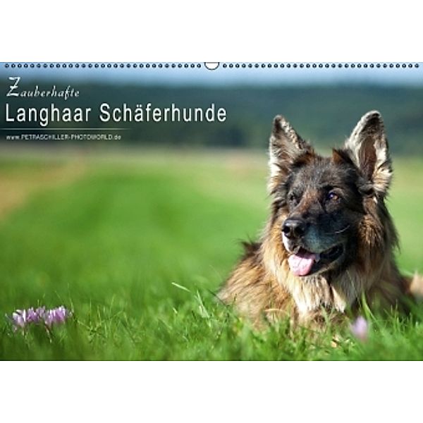 Zauberhafte Langhaar Schäferhunde (Wandkalender 2016 DIN A2 quer), Petra Schiller
