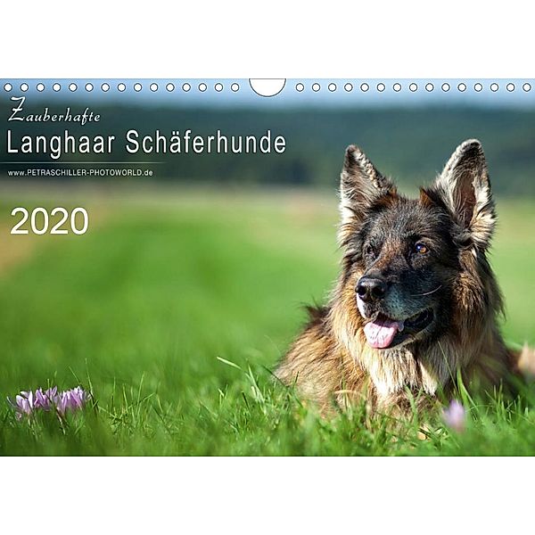Zauberhafte Langhaar Schäferhunde (Wandkalender 2020 DIN A4 quer), Petra Schiller
