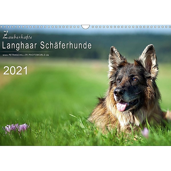 Zauberhafte Langhaar Schäferhunde (Wandkalender 2021 DIN A3 quer), Petra Schiller