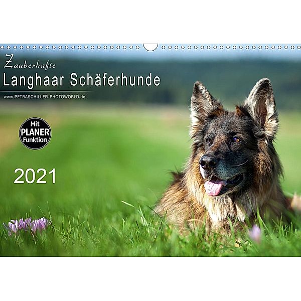 Zauberhafte Langhaar Schäferhunde (Wandkalender 2021 DIN A3 quer), Petra Schiller