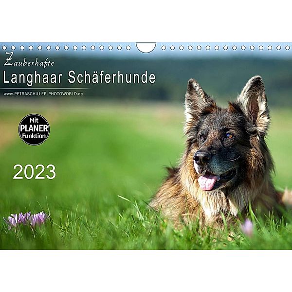 Zauberhafte Langhaar Schäferhunde (Wandkalender 2023 DIN A4 quer), Petra Schiller