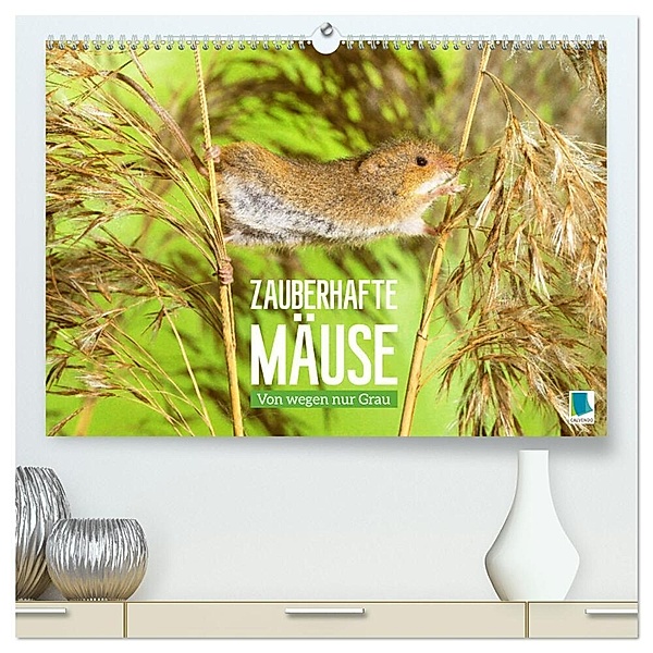 Zauberhafte Mäuse: Von wegen nur Grau (hochwertiger Premium Wandkalender 2024 DIN A2 quer), Kunstdruck in Hochglanz, Calvendo