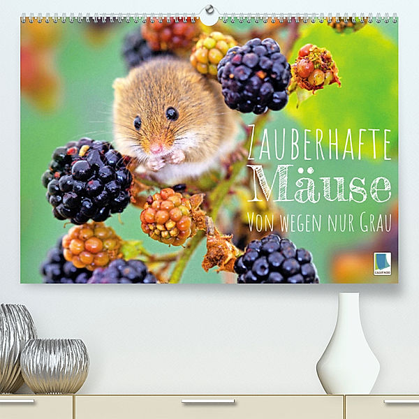 Zauberhafte Mäuse: Von wegen nur Grau (Premium, hochwertiger DIN A2 Wandkalender 2023, Kunstdruck in Hochglanz), Calvendo