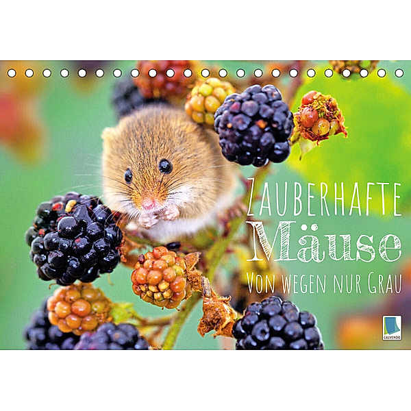 Zauberhafte Mäuse: Von wegen nur Grau (Tischkalender 2023 DIN A5 quer), Calvendo