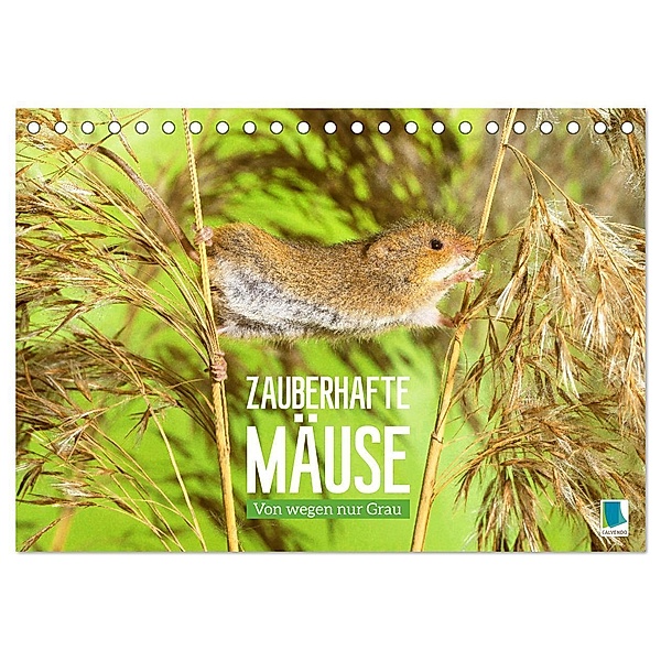 Zauberhafte Mäuse: Von wegen nur Grau (Tischkalender 2024 DIN A5 quer), CALVENDO Monatskalender, Calvendo