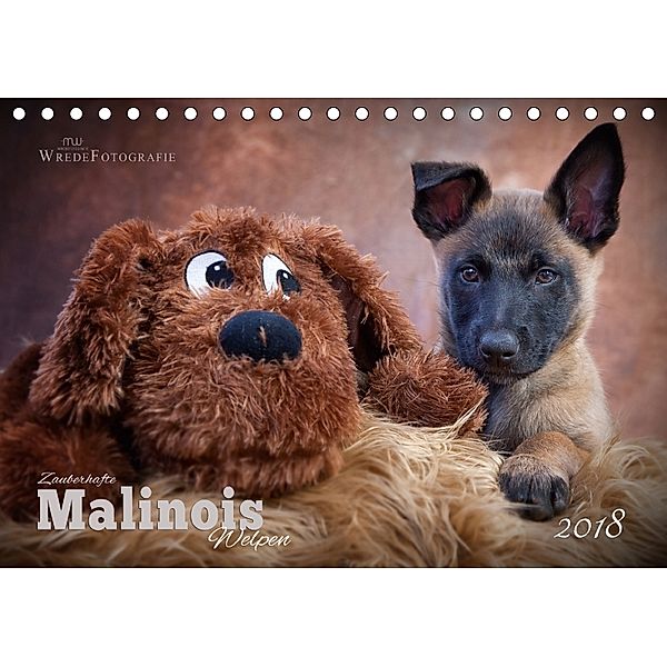 Zauberhafte Malinos Welpen - Belgische Schäferhunde (Tischkalender 2018 DIN A5 quer), Martina Wrede