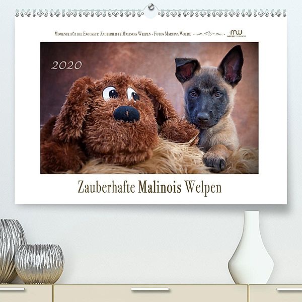 Zauberhafte Malinos Welpen - Belgische Schäferhunde (Premium-Kalender 2020 DIN A2 quer), Martina Wrede