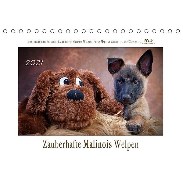 Zauberhafte Malinos Welpen - Belgische Schäferhunde (Tischkalender 2021 DIN A5 quer), Martina Wrede
