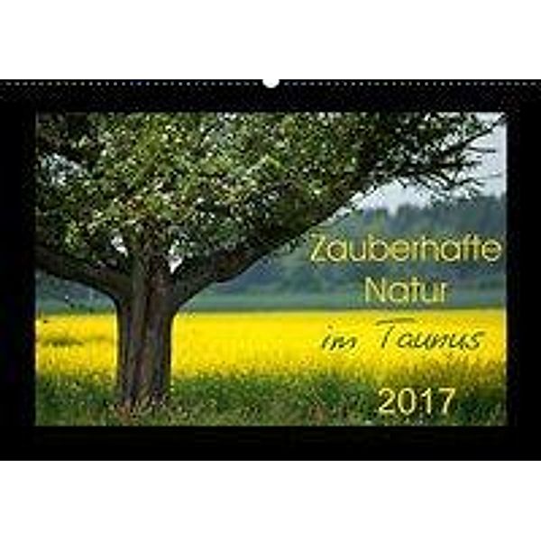 Zauberhafte Natur im Taunus (Wandkalender 2017 DIN A2 quer), Petra Schiller