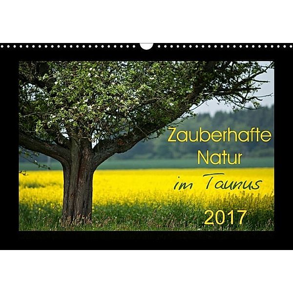Zauberhafte Natur im Taunus (Wandkalender 2017 DIN A3 quer), Petra Schiller