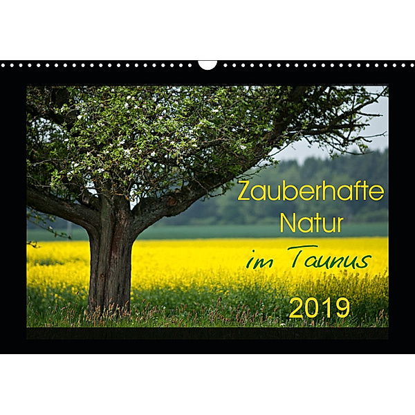 Zauberhafte Natur im Taunus (Wandkalender 2019 DIN A3 quer), Petra Schiller