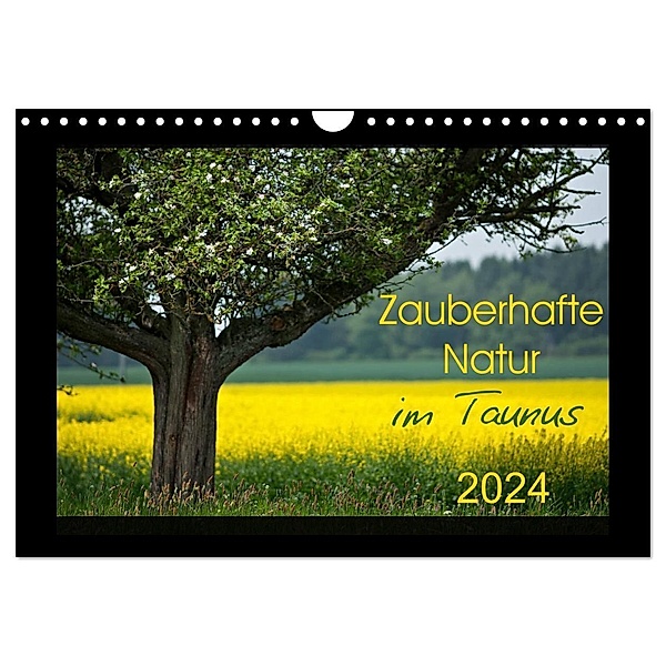 Zauberhafte Natur im Taunus (Wandkalender 2024 DIN A4 quer), CALVENDO Monatskalender, Petra Schiller