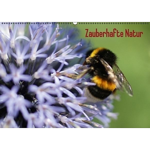 Zauberhafte Natur (Wandkalender 2015 DIN A2 quer), Kleverveer