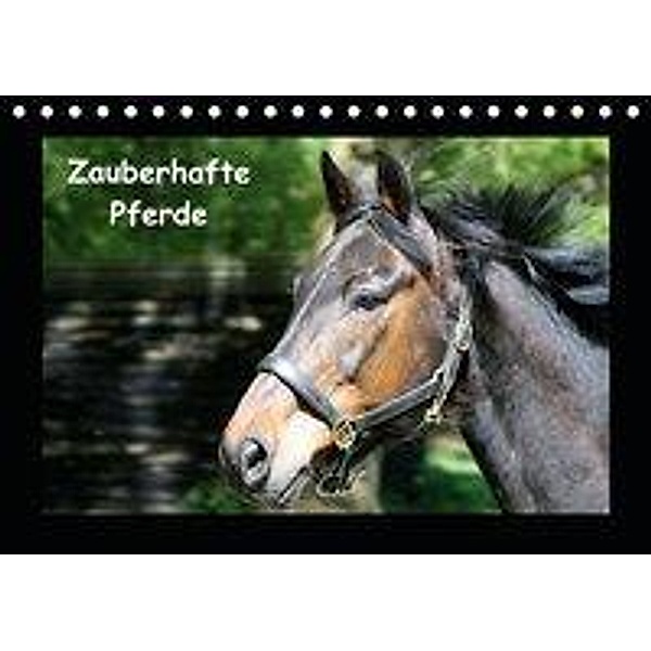 Zauberhafte Pferde (Tischkalender 2020 DIN A5 quer), Christine Daus