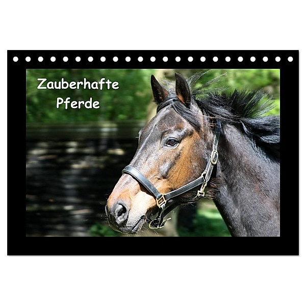 Zauberhafte Pferde (Tischkalender 2024 DIN A5 quer), CALVENDO Monatskalender, Christine Daus
