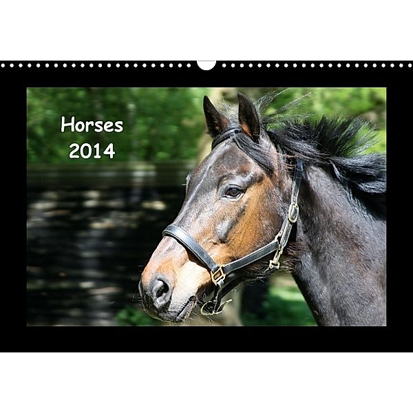 Zauberhafte Pferde (Wandkalender 2014 DIN A4 quer), Christine Daus