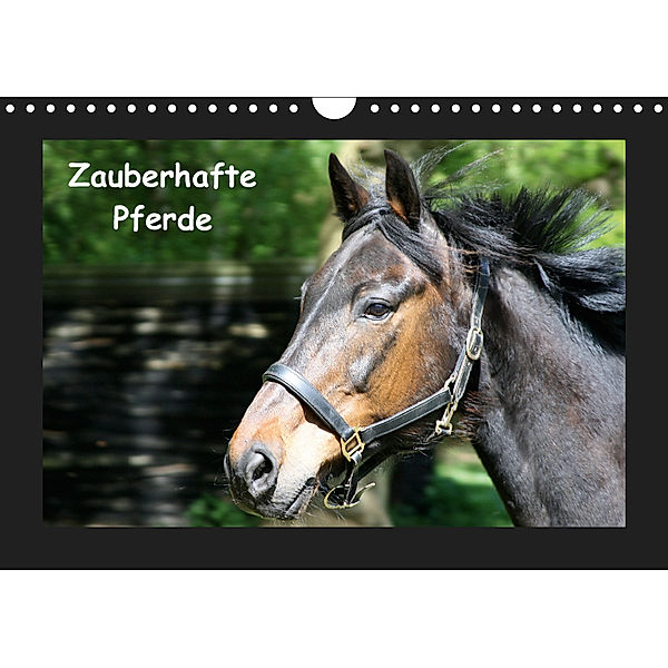 Zauberhafte Pferde (Wandkalender 2019 DIN A4 quer), Christine Daus