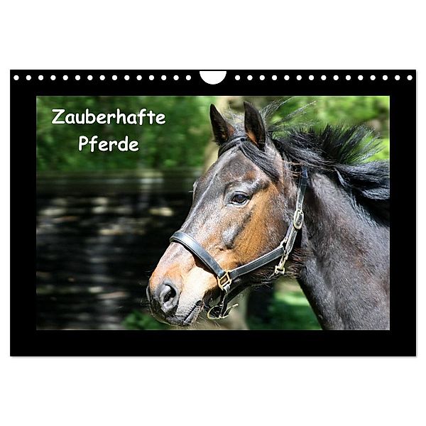 Zauberhafte Pferde (Wandkalender 2024 DIN A4 quer), CALVENDO Monatskalender, Christine Daus