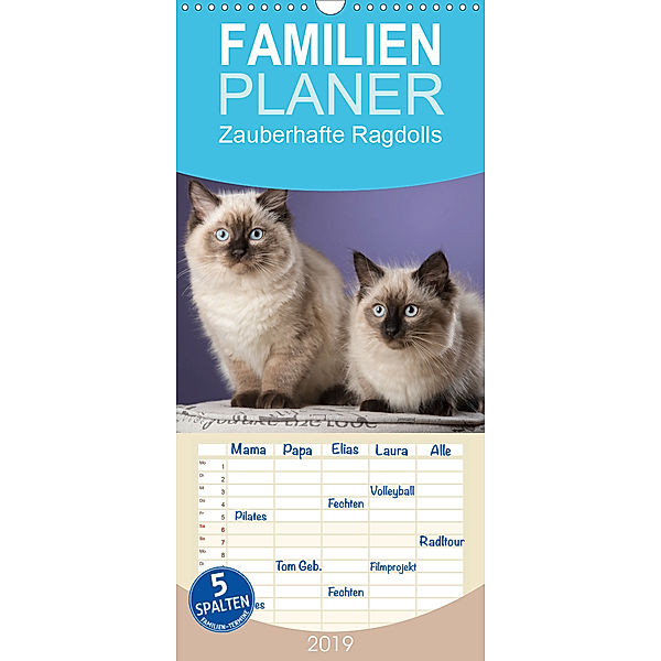 Zauberhafte Ragdolls - Familienplaner hoch (Wandkalender 2019 , 21 cm x 45 cm, hoch), Nicole Noack