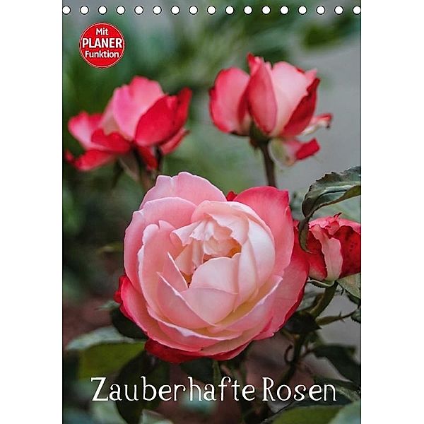 Zauberhafte Rosen (Tischkalender 2017 DIN A5 hoch), Andrea Potratz
