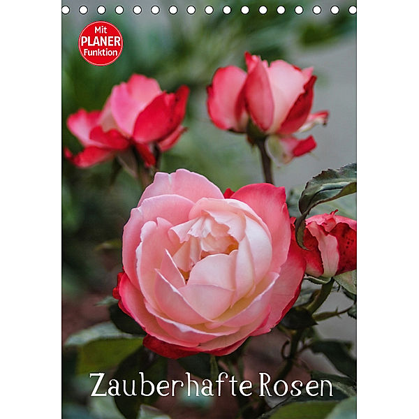 Zauberhafte Rosen (Tischkalender 2019 DIN A5 hoch), Andrea Potratz