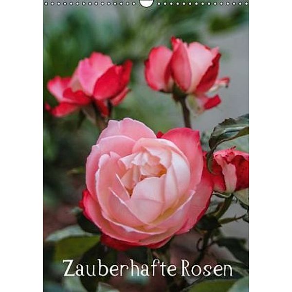 Zauberhafte Rosen (Wandkalender 2016 DIN A3 hoch), Andrea Potratz