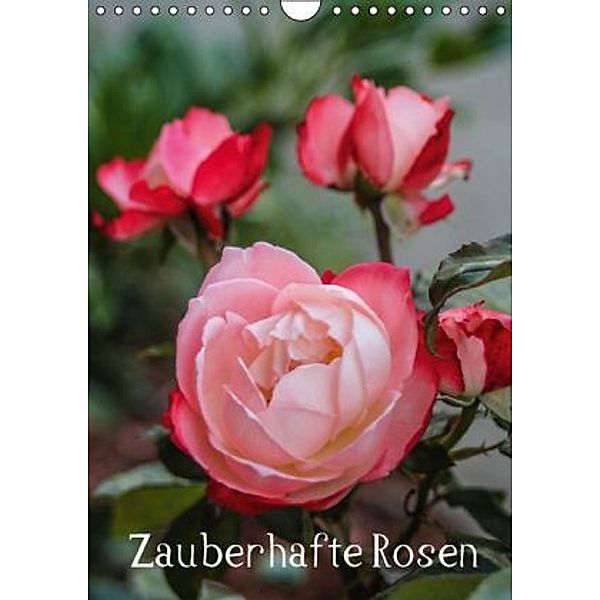 Zauberhafte Rosen (Wandkalender 2016 DIN A4 hoch), Andrea Potratz